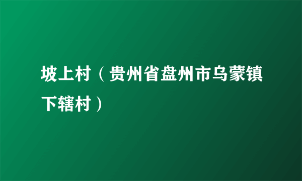 坡上村（贵州省盘州市乌蒙镇下辖村）