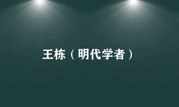 王栋（明代学者）