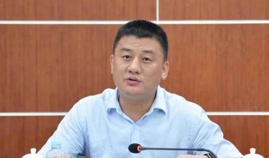 王戈（深圳市投资控股有限公司总工程师，深圳英飞拓科技股份有限公司董事）