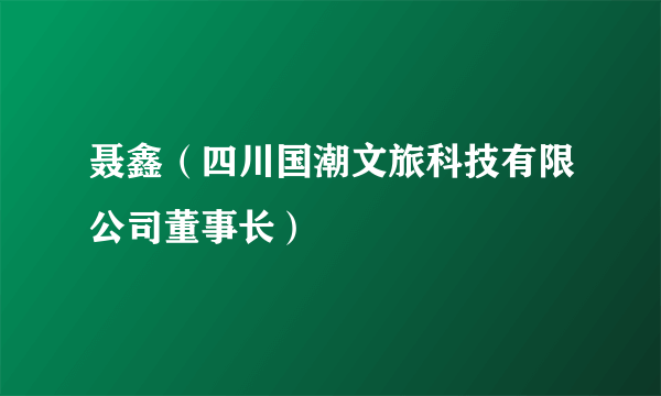 聂鑫（四川国潮文旅科技有限公司董事长）
