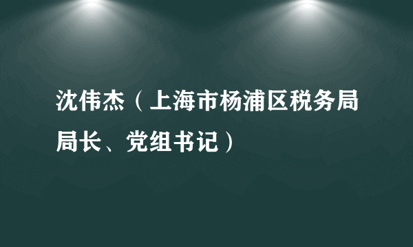 沈伟杰（上海市杨浦区税务局局长、党组书记）