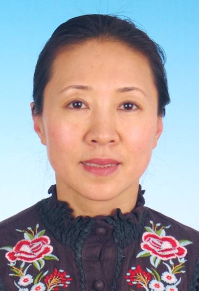 郑丽萍（北京航空航天大学法学院教授）