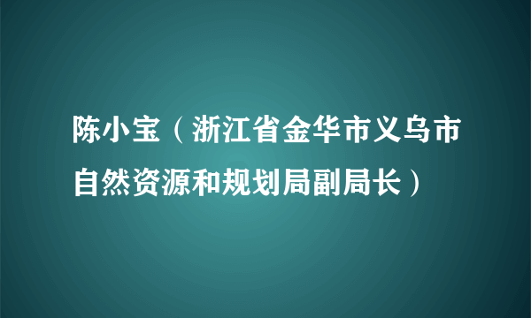 陈小宝（浙江省金华市义乌市自然资源和规划局副局长）