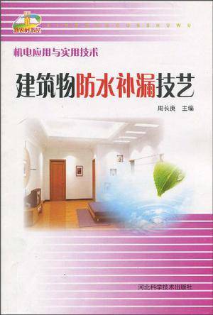 建筑物防水补漏技艺