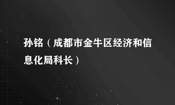 孙铭（成都市金牛区经济和信息化局科长）