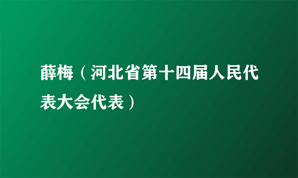 薛梅（河北省第十四届人民代表大会代表）