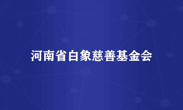 河南省白象慈善基金会