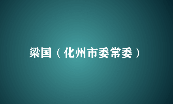 梁国（化州市委常委）
