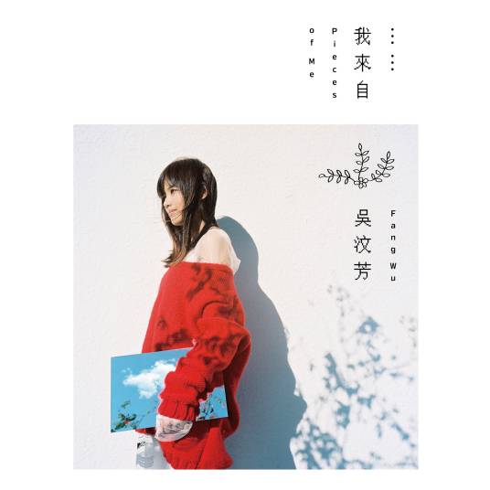 不要来找我（吴汶芳演唱歌曲）