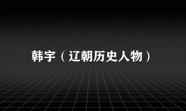 韩宇（辽朝历史人物）
