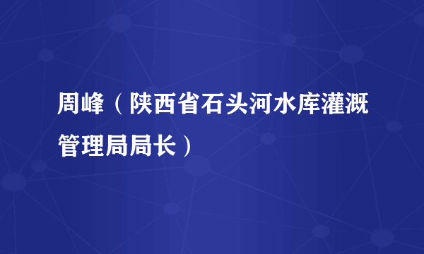 周峰（陕西省石头河水库灌溉管理局局长）