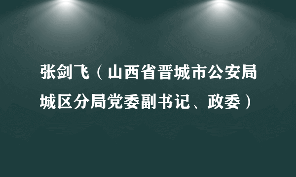 张剑飞（山西省晋城市公安局城区分局党委副书记、政委）