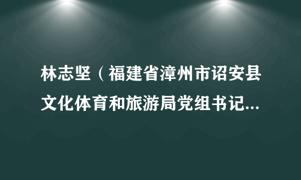 林志坚（福建省漳州市诏安县文化体育和旅游局党组书记、局长）
