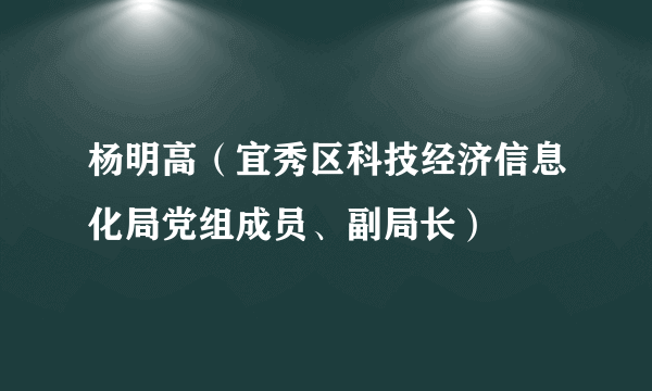 杨明高（宜秀区科技经济信息化局党组成员、副局长）