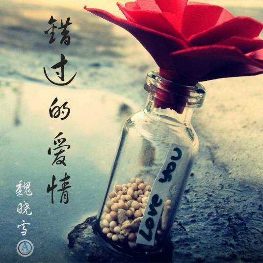 错过的爱情（魏晓雪演唱的）