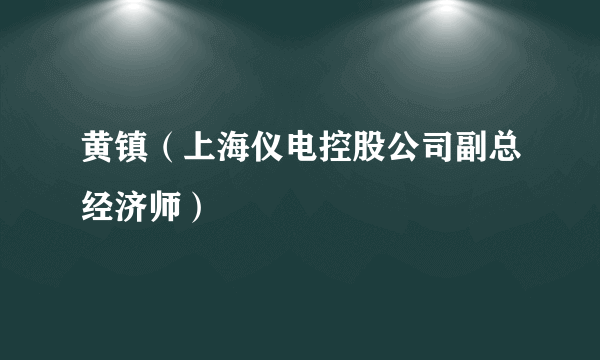 黄镇（上海仪电控股公司副总经济师）