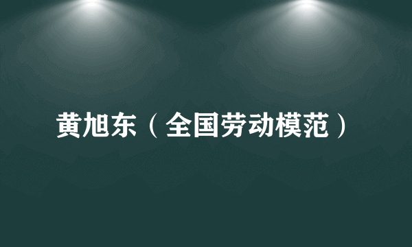 黄旭东（全国劳动模范）