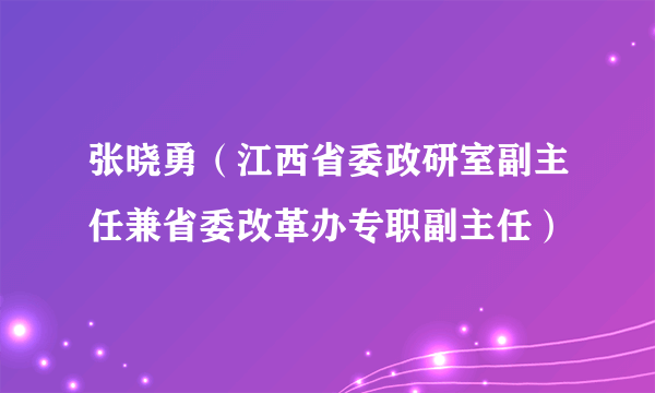 张晓勇（江西省委政研室副主任兼省委改革办专职副主任）