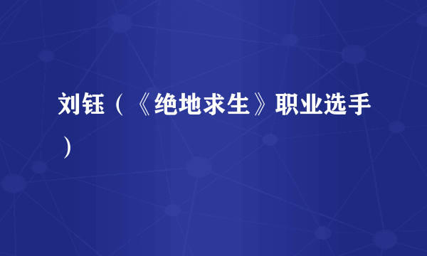 刘钰（《绝地求生》职业选手）