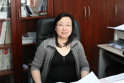 陈岚（中国科学院微电子研究所研究员）