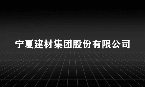 宁夏建材集团股份有限公司