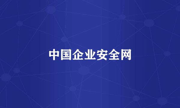 中国企业安全网