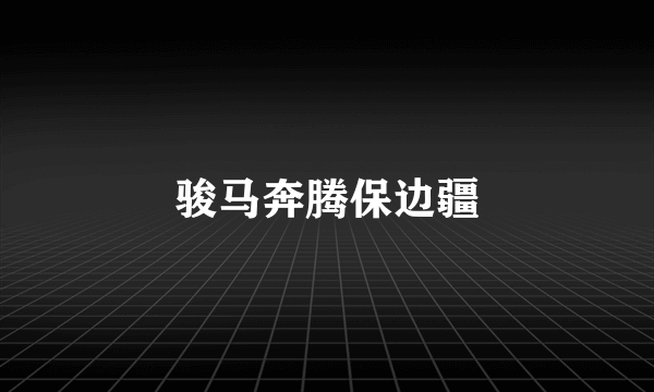骏马奔腾保边疆
