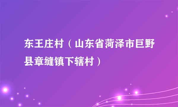 东王庄村（山东省菏泽市巨野县章缝镇下辖村）