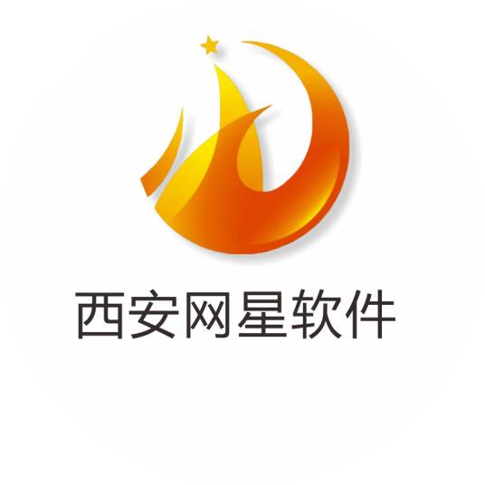 西安网星软件培训