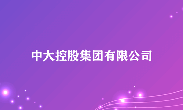 中大控股集团有限公司
