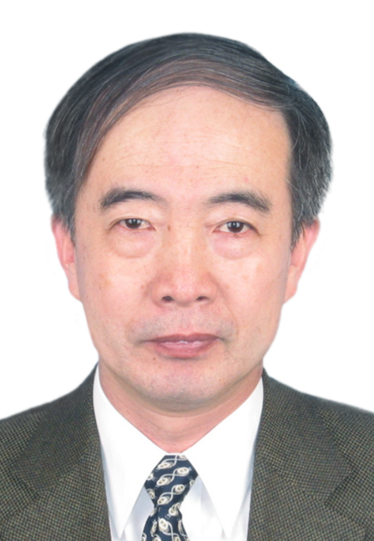 王新华（北京科技大学冶金与生态工程学院教师）