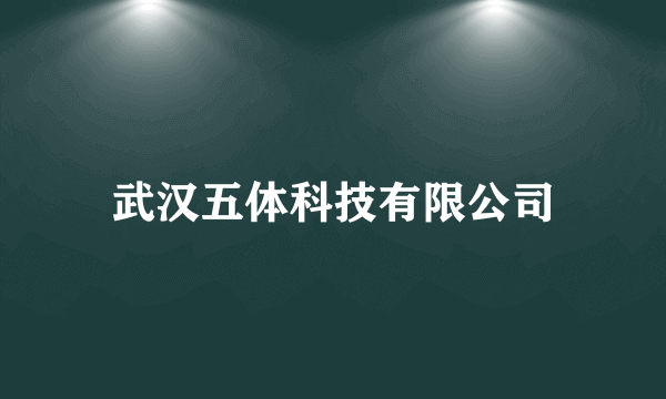 武汉五体科技有限公司