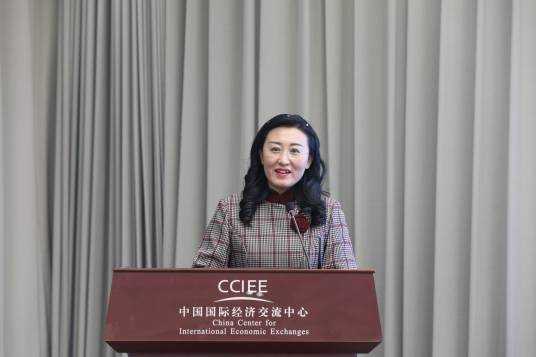 景春梅（国经中心科研信息部部长、能源政策研究所负责人、研究员）