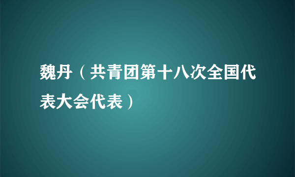 魏丹（共青团第十八次全国代表大会代表）
