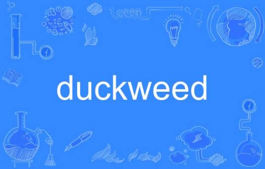 duckweed