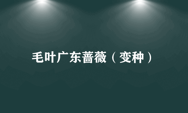 毛叶广东蔷薇（变种）