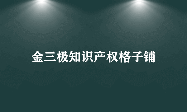 金三极知识产权格子铺