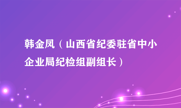 韩金凤（山西省纪委驻省中小企业局纪检组副组长）