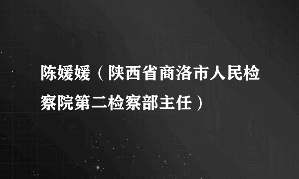 陈媛媛（陕西省商洛市人民检察院第二检察部主任）