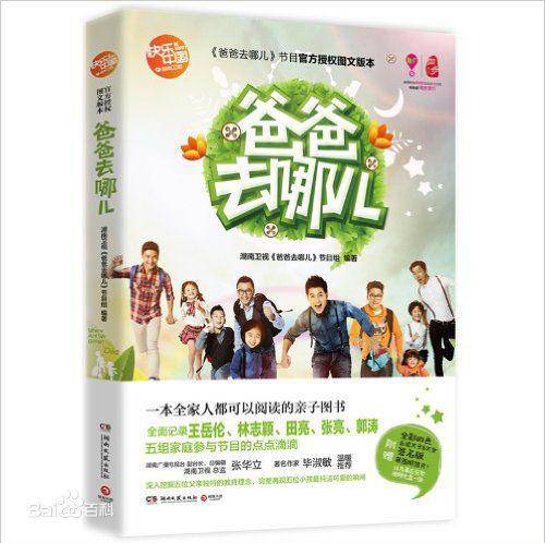 爸爸去哪儿（2014年湖南文艺出版社出版的图书）