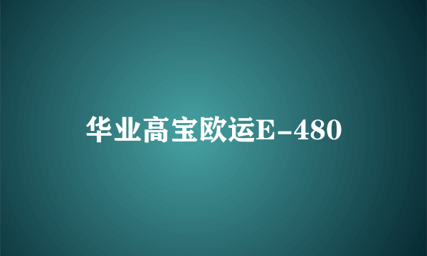 华业高宝欧运E-480