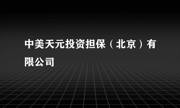 中美天元投资担保（北京）有限公司