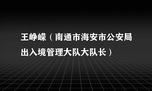 王峥嵘（南通市海安市公安局出入境管理大队大队长）