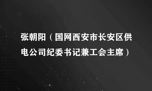 张朝阳（国网西安市长安区供电公司纪委书记兼工会主席）