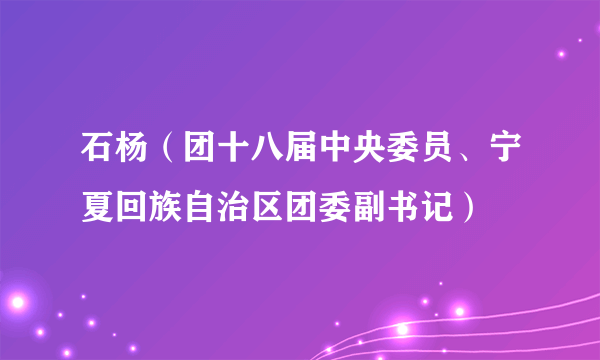 石杨（团十八届中央委员、宁夏回族自治区团委副书记）