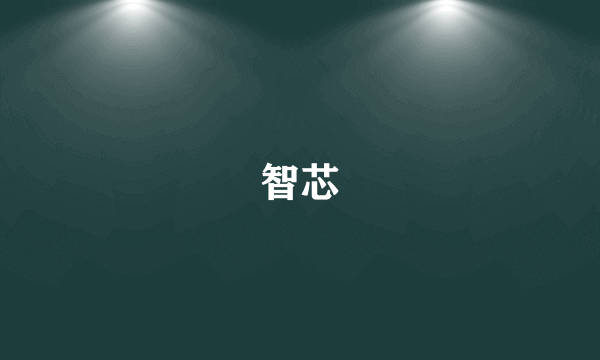 智芯