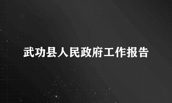 武功县人民政府工作报告