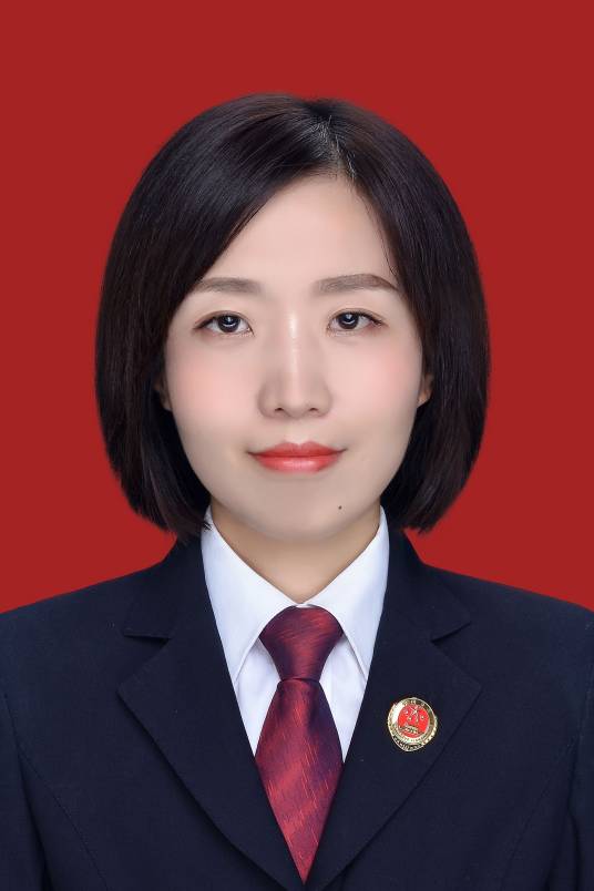 陈婧（四川省南充市西充县人民检察院党组书记、检察长）