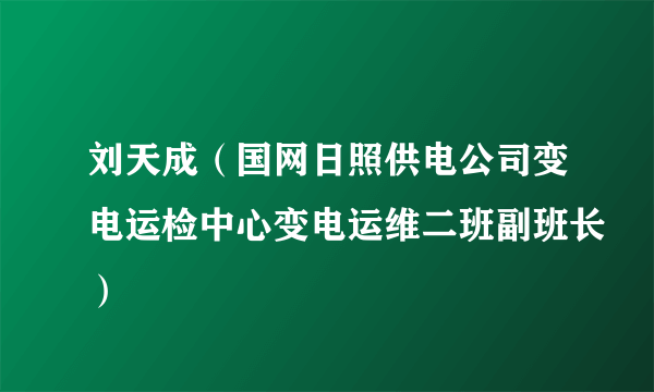 刘天成（国网日照供电公司变电运检中心变电运维二班副班长）