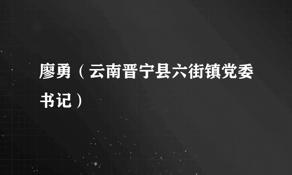 廖勇（云南晋宁县六街镇党委书记）
